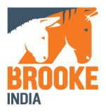 Logo 17